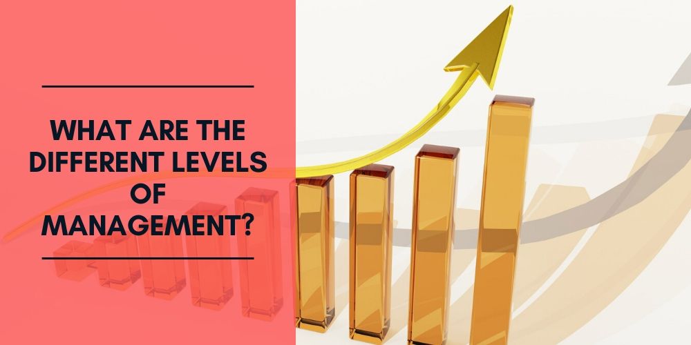 What Are the Different Levels of Management?